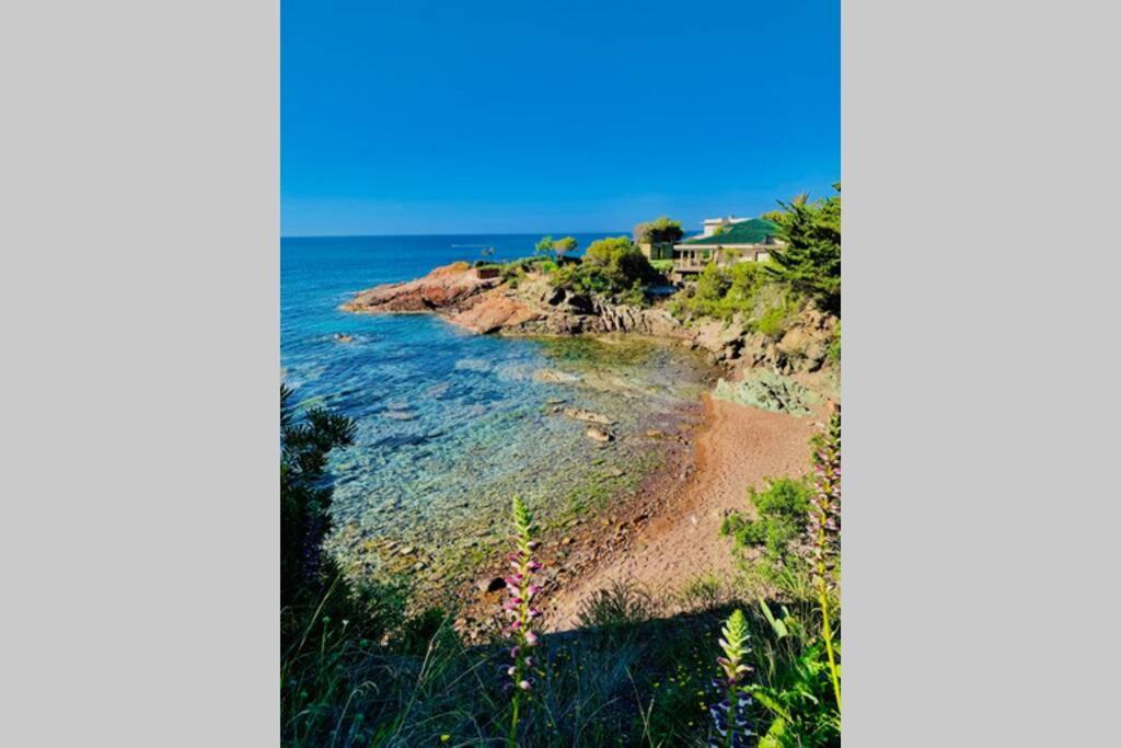 Superbe 4 Couchages Avec Terrasse - Clim - 50M De La Mer Saint-Raphaël Exterior foto